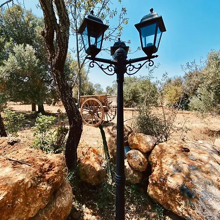 Country In Algarve, 15 Min From Villa *