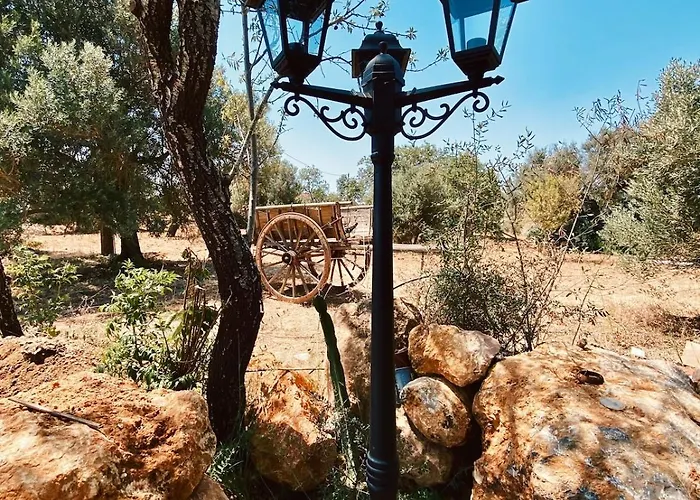 Country In Algarve, 15 Min From Willa *